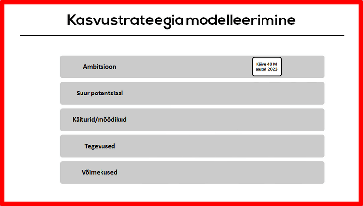 indrek saul ettevõtete strateegiline juhtimine